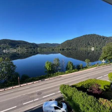 Spacious Nest With View Of Lake Apartmán Gérardmer