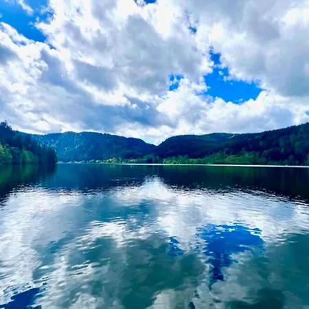 Spacious Nest With View Of Lake * Gérardmer